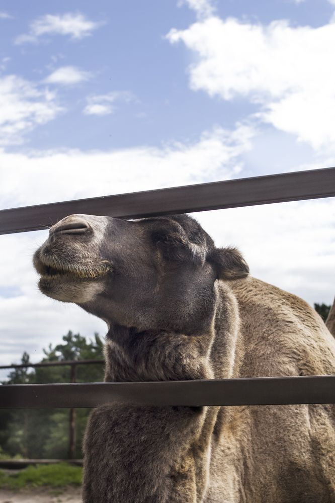 Photograph by Татьяна Шахматова