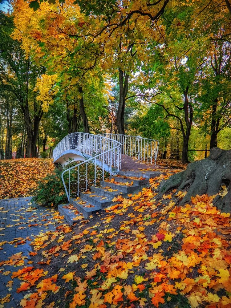 Photograph by Владимир Шаруба