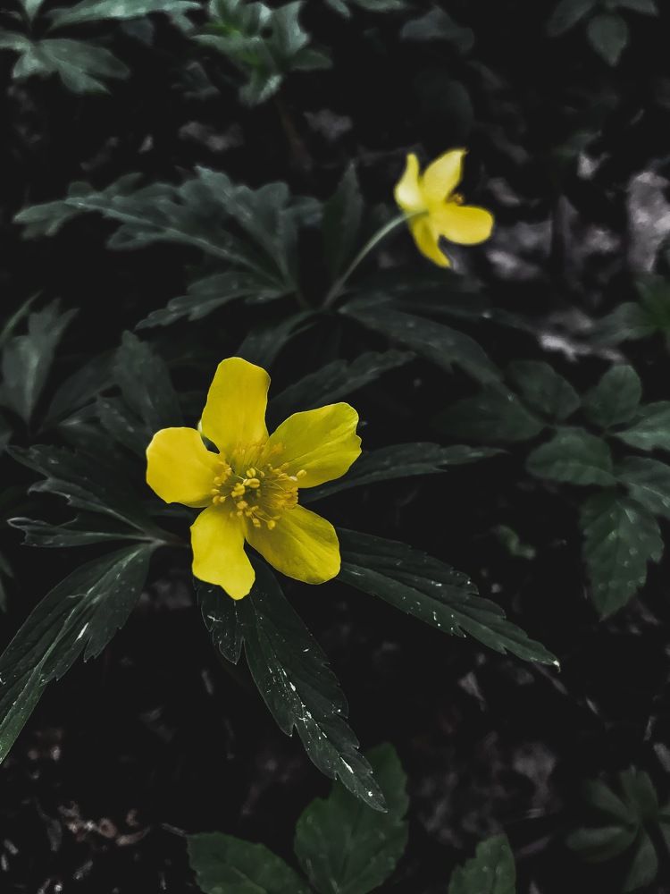 Photograph by Maxim Komissarov