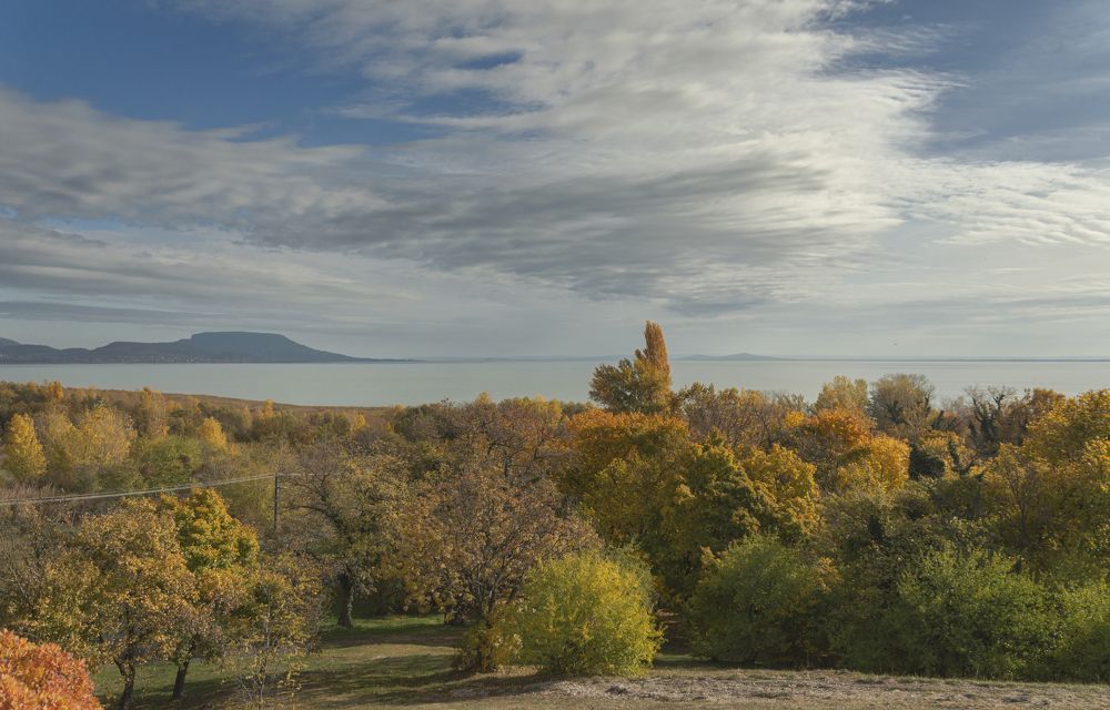 Photograph by Светлана Мельник