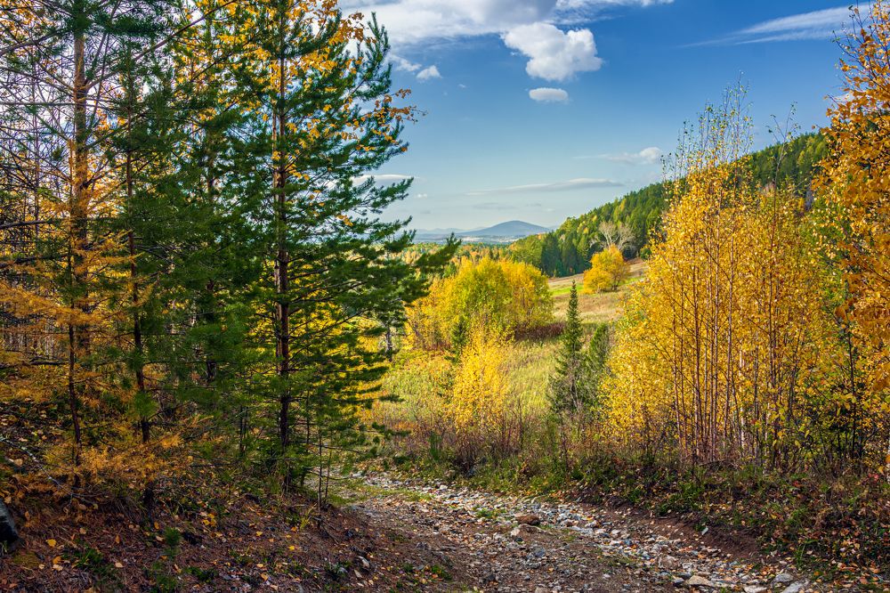 Photograph by Sergey L