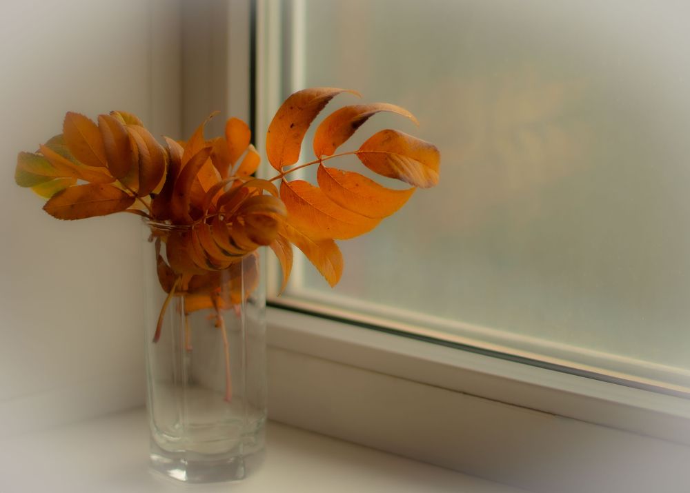 Photograph by Елена Сахарова