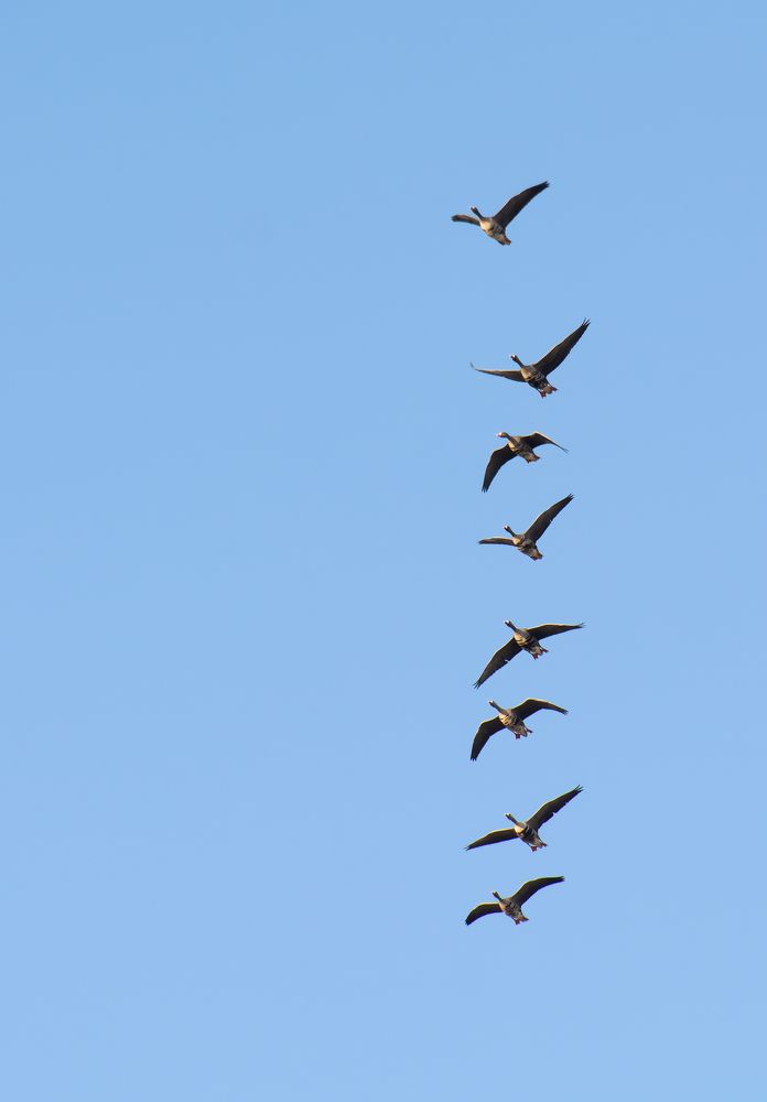 Photograph by Савенко Кирилл