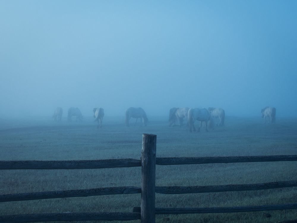 Photograph by Дмитрий Бочкарёв