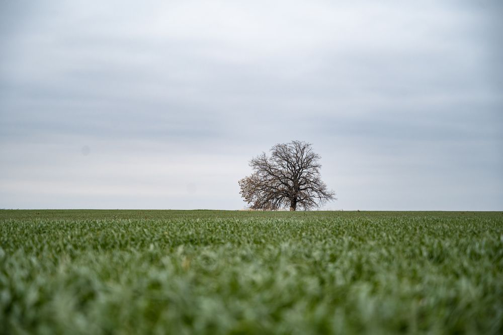 Photograph by Марьям Цимбельман