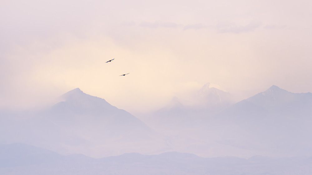 Photograph by Савенко Кирилл