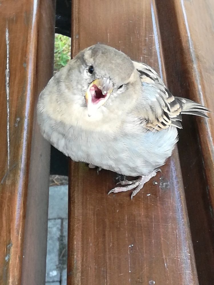 Photograph by Evgeniya Burkaeva