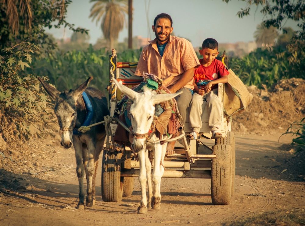 Photograph by Motaz Gohar