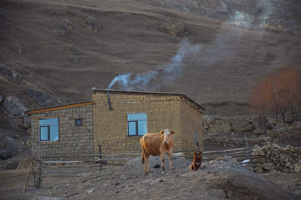 Photograph by İlham Mustafayev