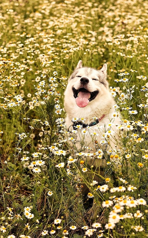 Photograph by Елена Одынец