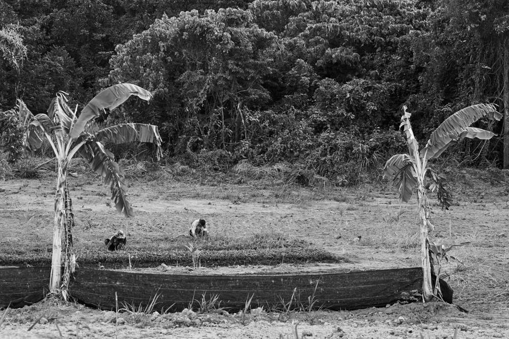 Photograph by Дмитрий Солодухин