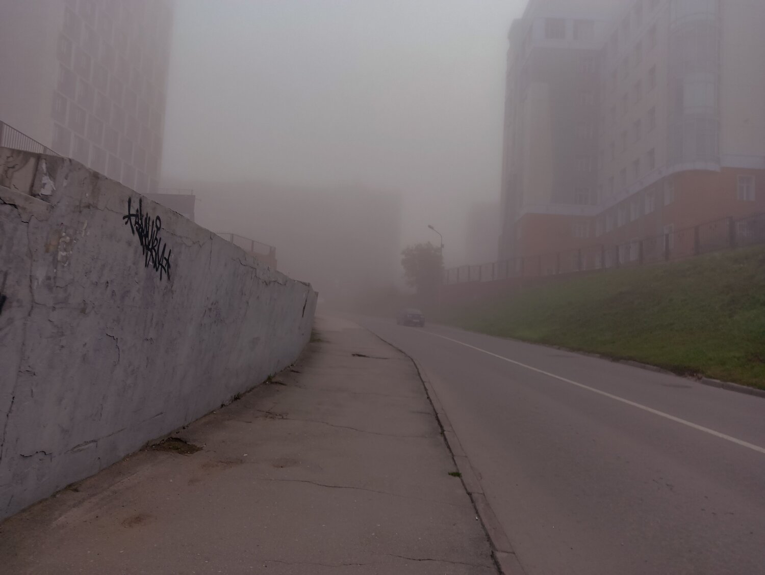 Photo #9673770