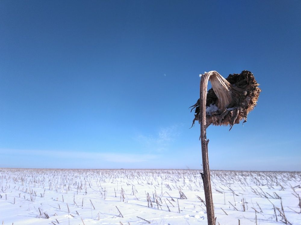 Русская пустота