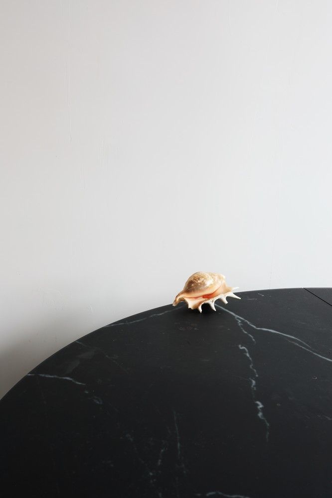 Photograph by Владимир Грибков