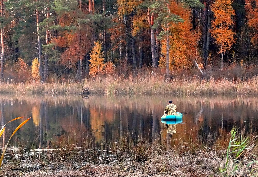 Осенью в парке Полесья