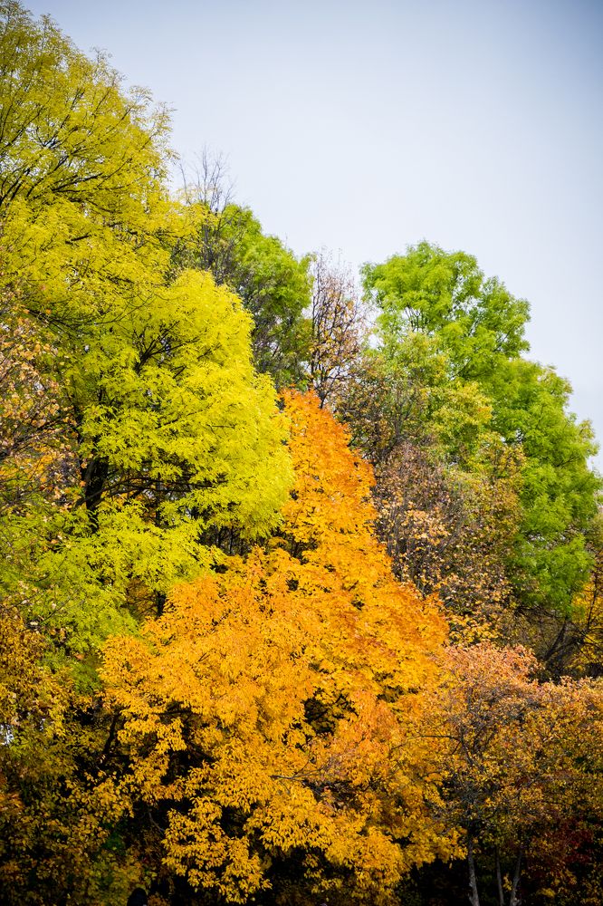 Фотография автора Василиса Новикова