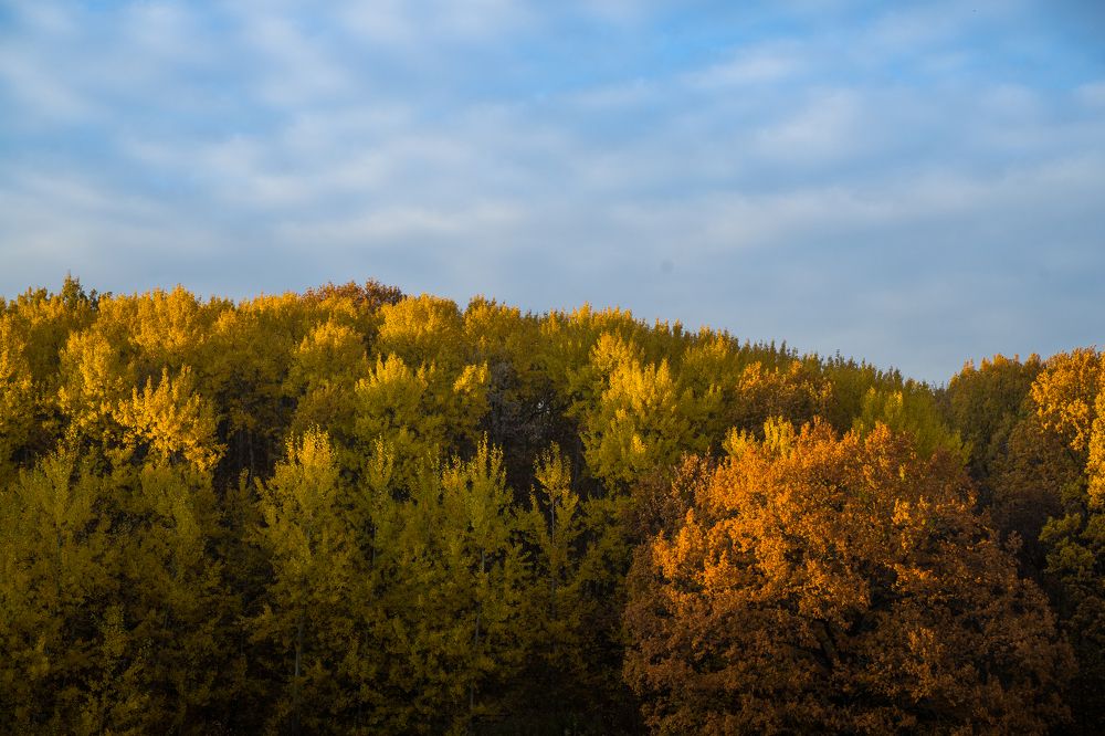Фотография автора Василиса Новикова