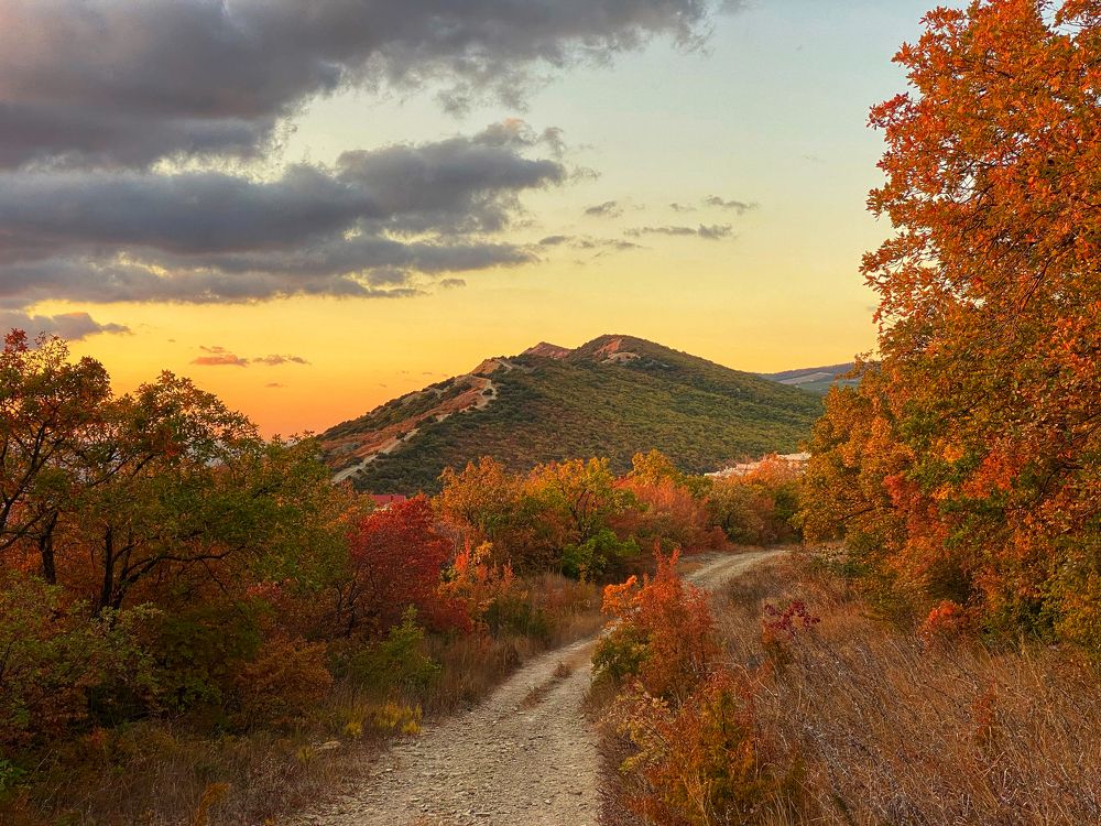 Фотография автора Екатерина Круглик