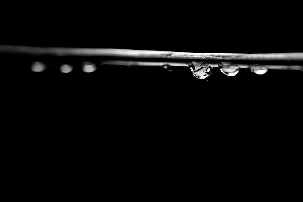 Photograph by Akeem Chandler-Prescod