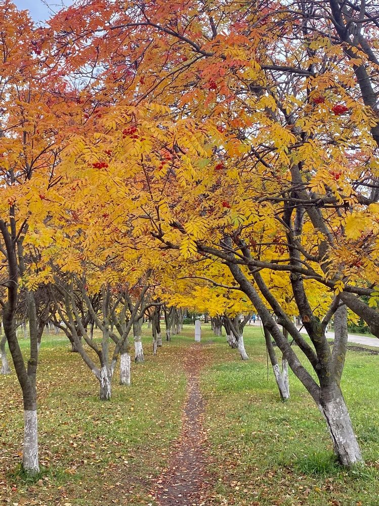 Фотография автора ГУЗАЛИЯ ГАНИЕВА