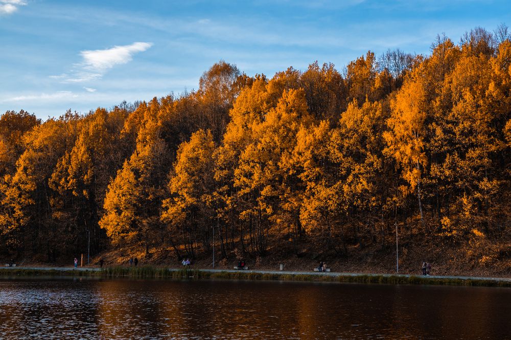 Фотография автора Василиса Новикова