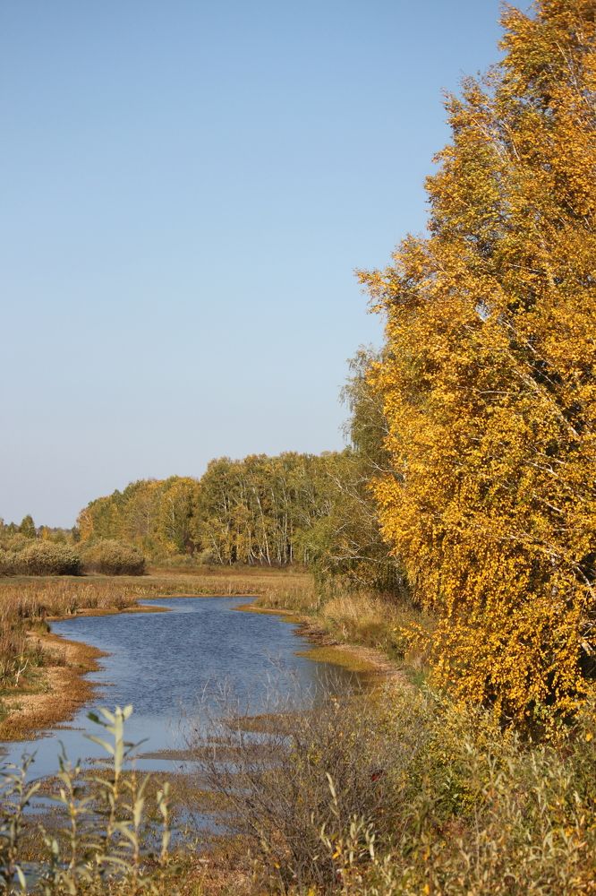 Photograph by Елена Петелина