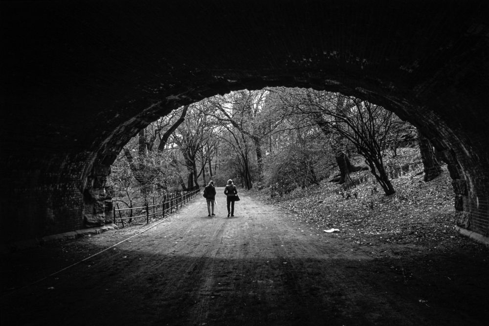 Photograph by gustavo gatto