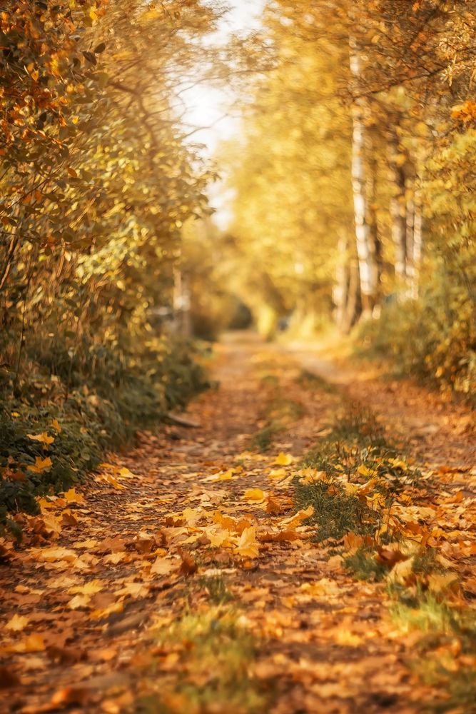 Photograph by Ксения Базарова