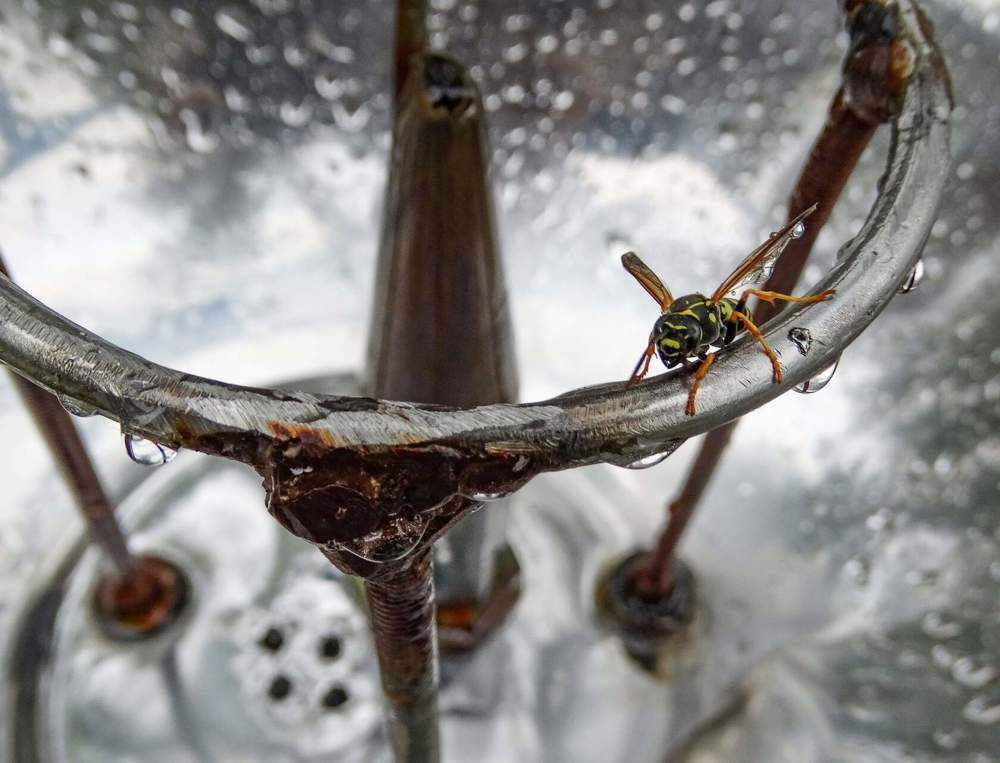 Photograph by Анжелика Трошина