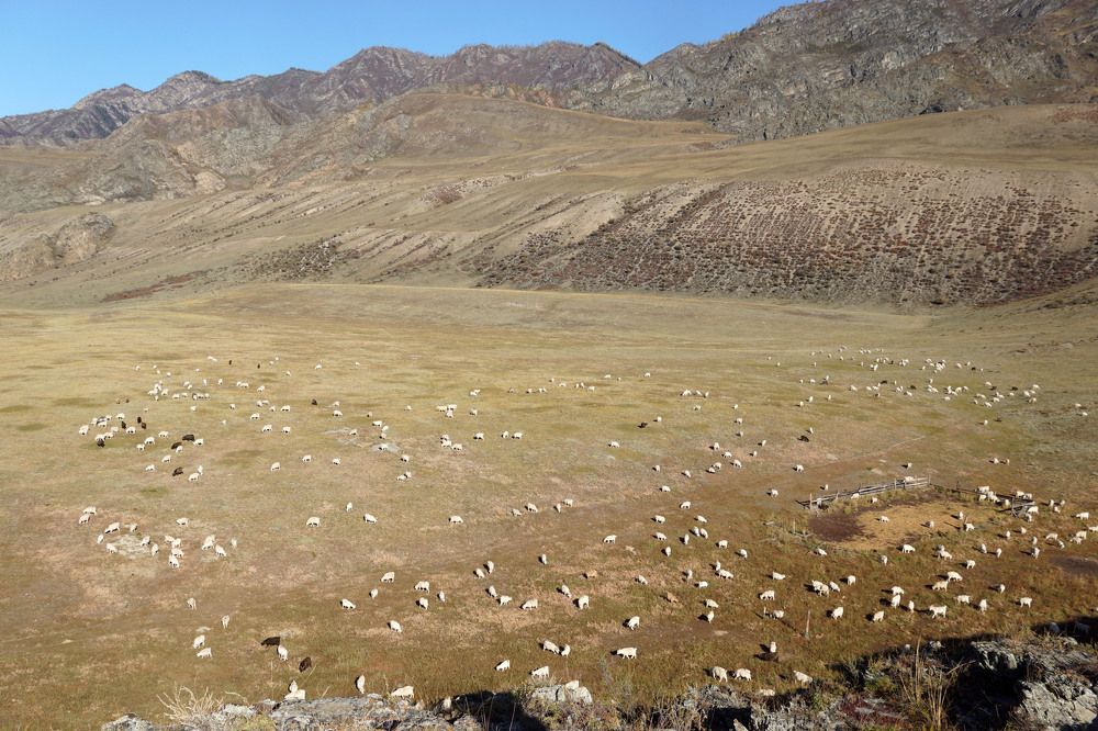 Photograph by Максимова Ирина