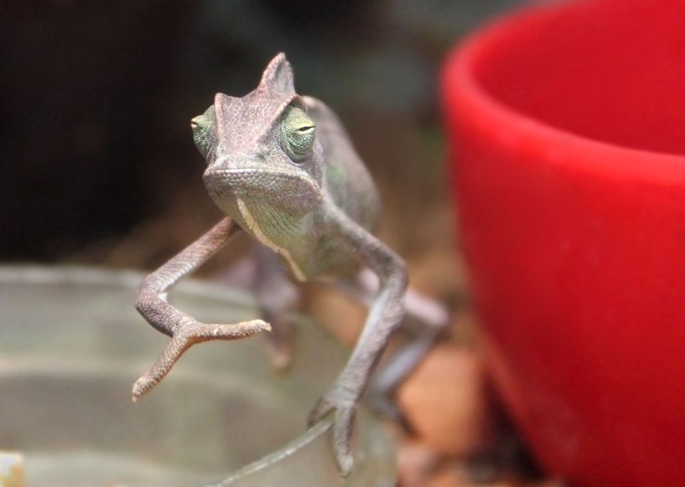 Фотография автора Кухта Мария