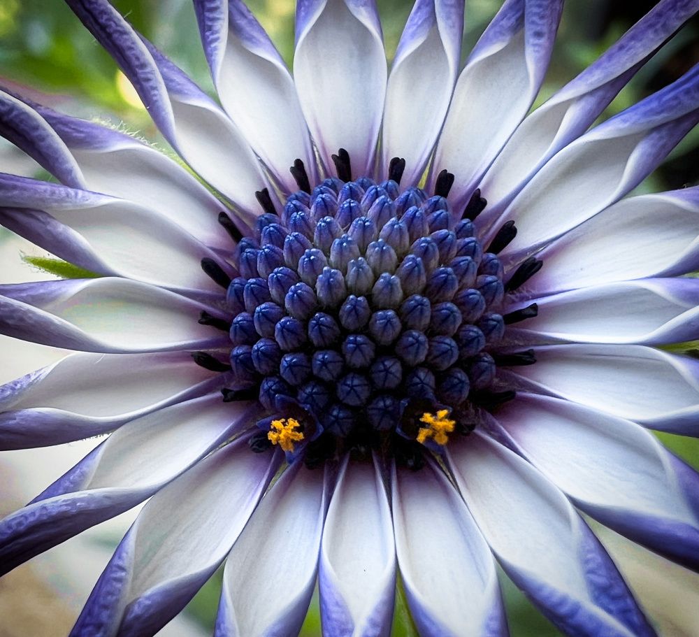 Photograph by Александр К