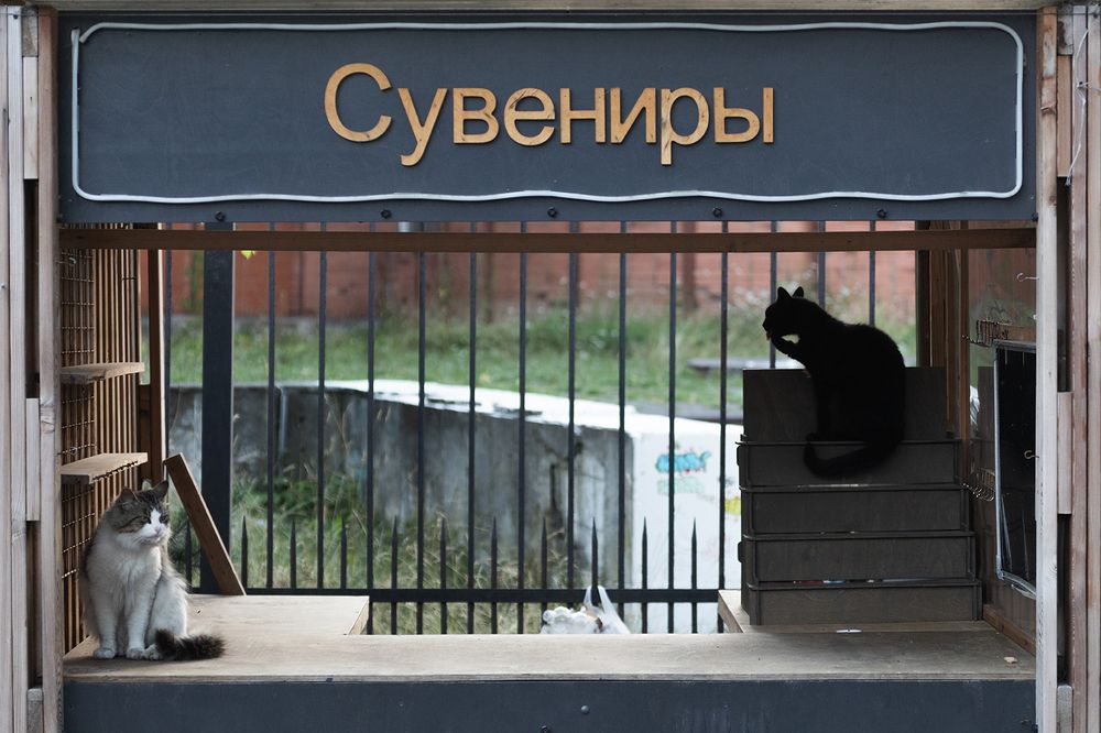 Photograph by Алексей Шамашов