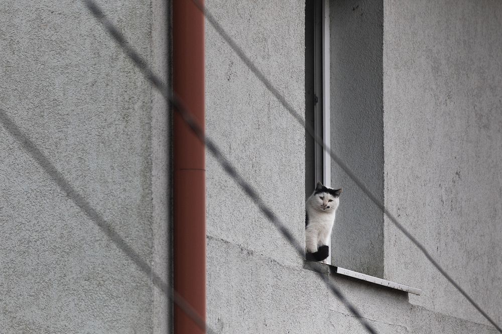 Photograph by Алексей Шамашов