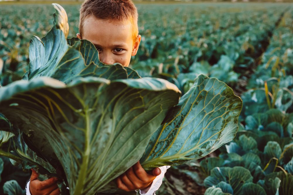 Photograph by Малинина Елена