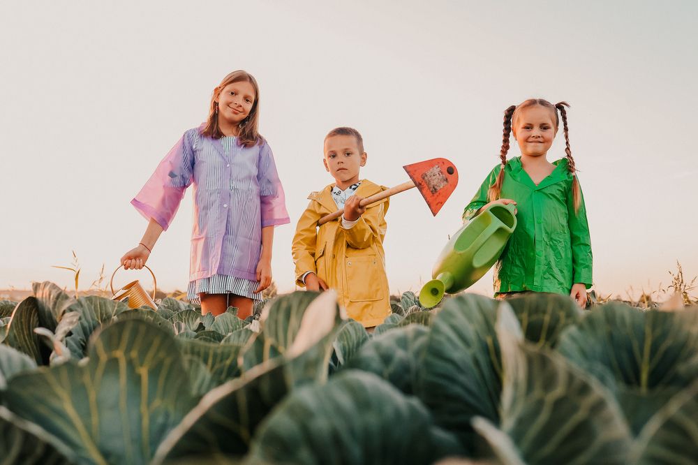 Photograph by Малинина Елена