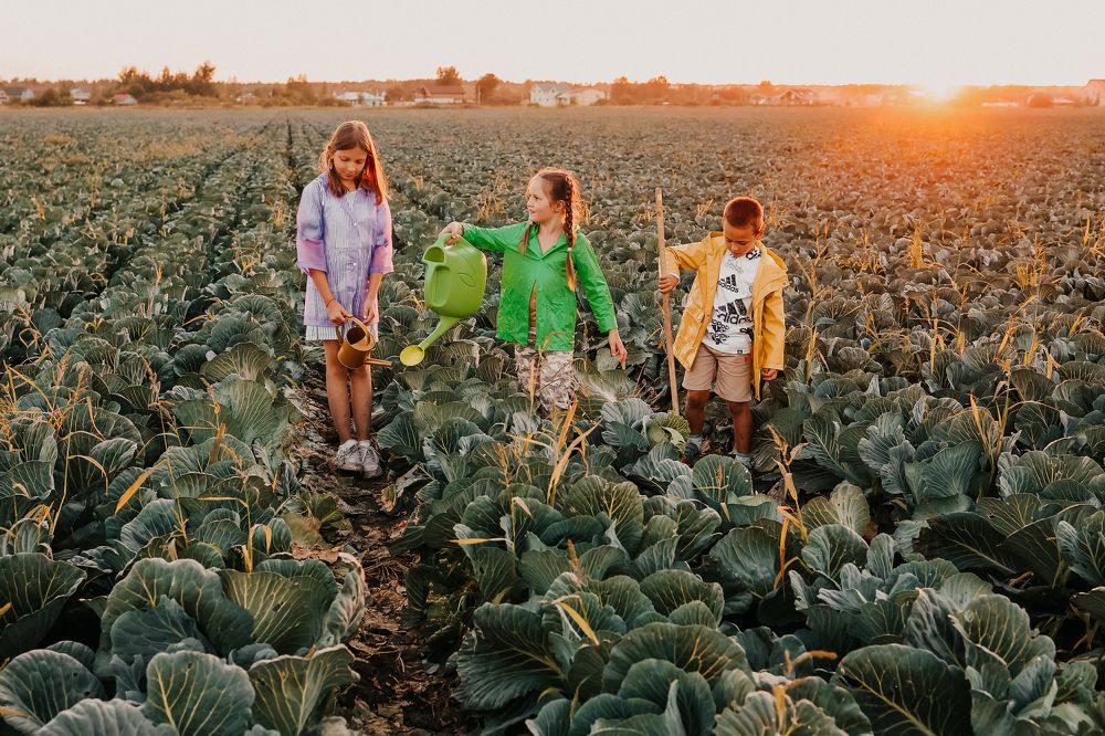 Photograph by Малинина Елена