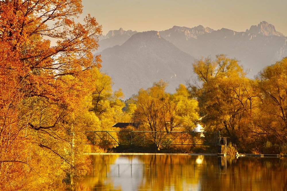 Фотография автора Liudmila Kiermeier