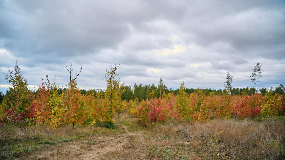Photograph by Татьяна Соснина