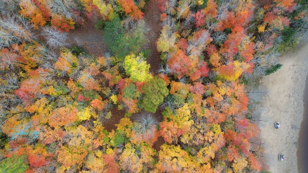 Photograph by Vaibhav Rege