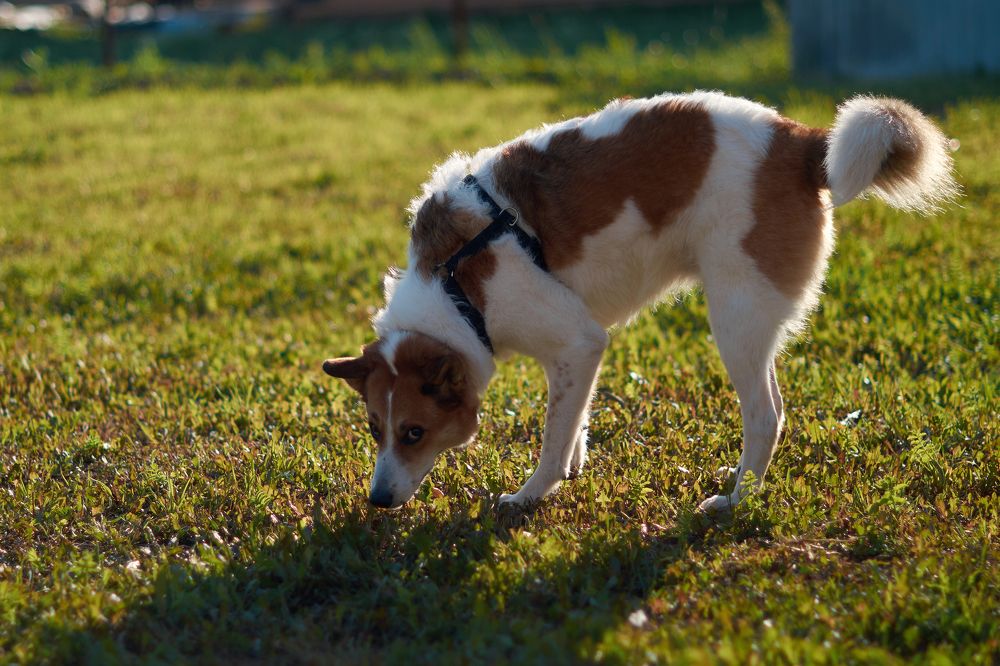 Photograph by Маргарита Гасец