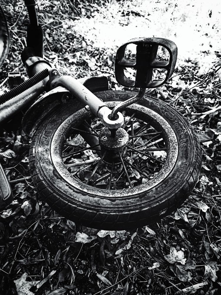 Photograph by  Artem