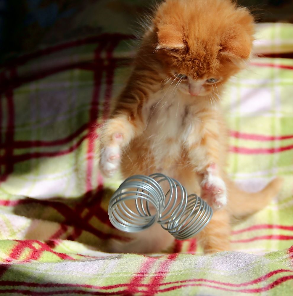 Photograph by Любовь Саханова