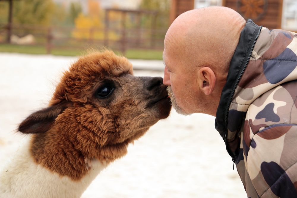 Photograph by Галина Фурсова