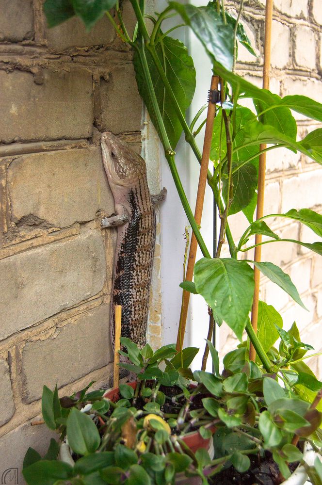 Photograph by Маргарита Гасец