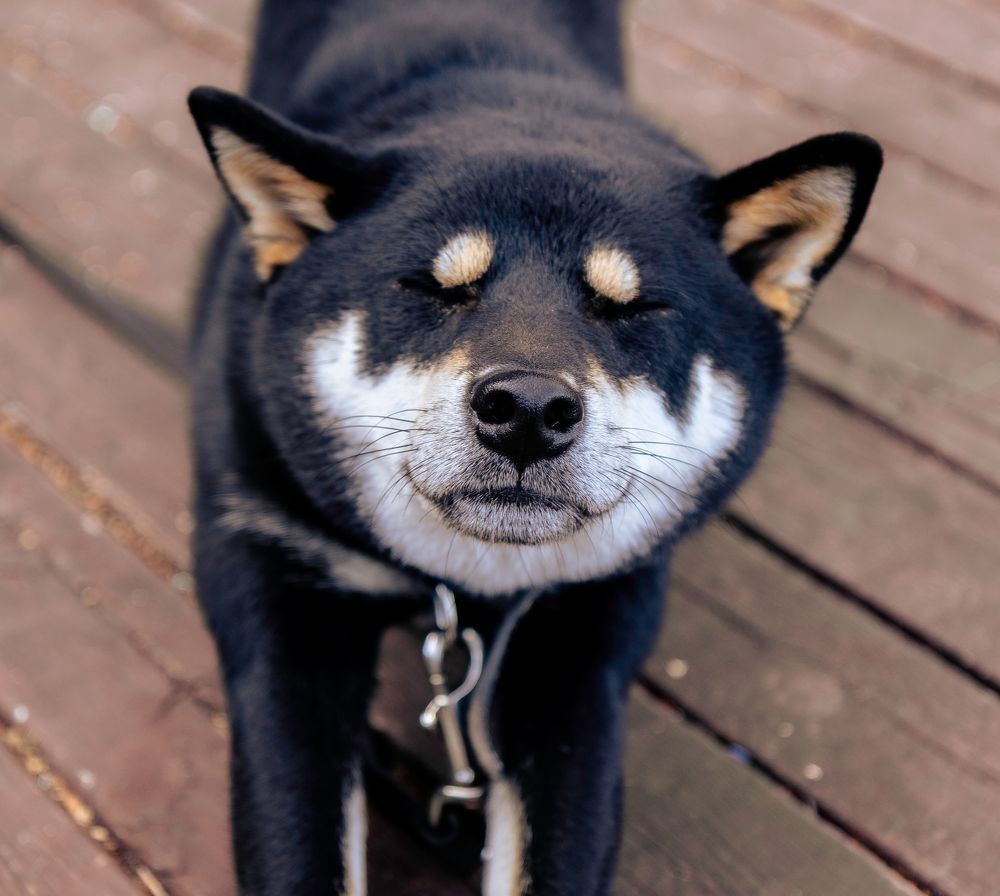 Photograph by Светлана Купреева