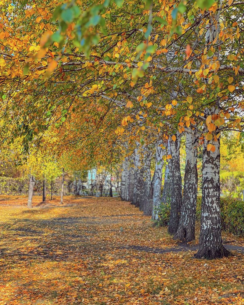 Photograph by Татьяна Волохова