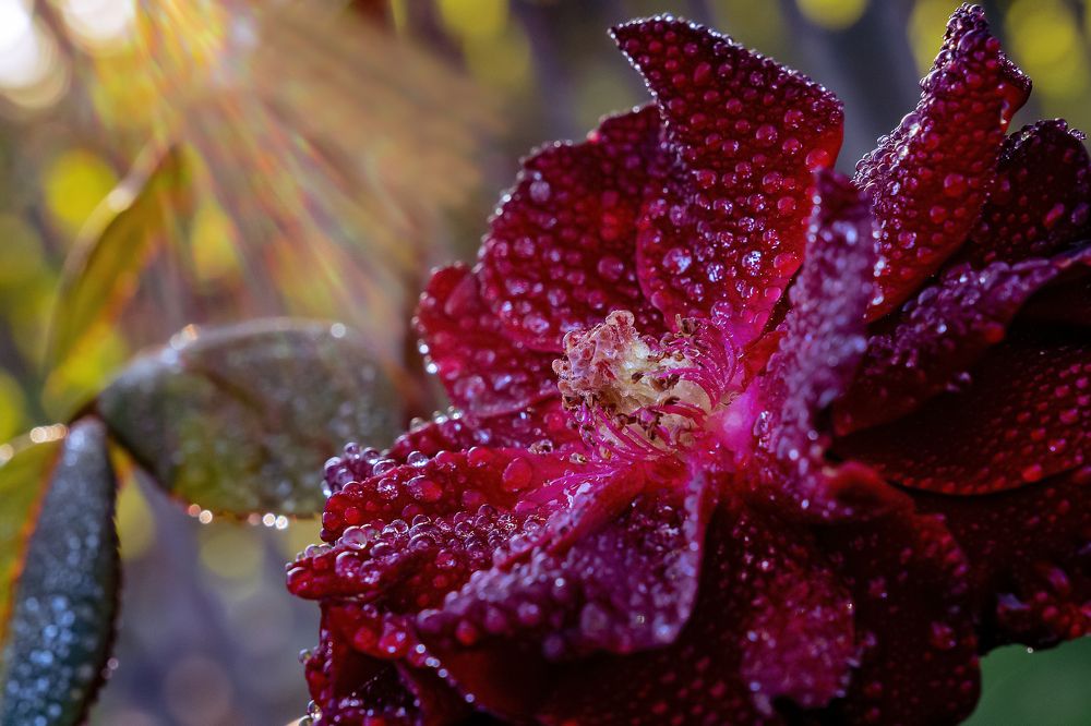 Магия красоты