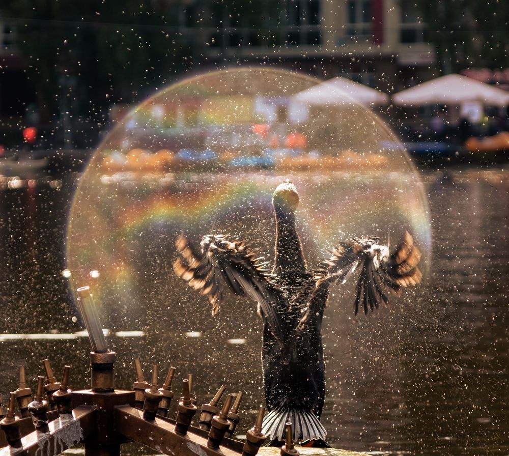 Photograph by Светлана Купреева