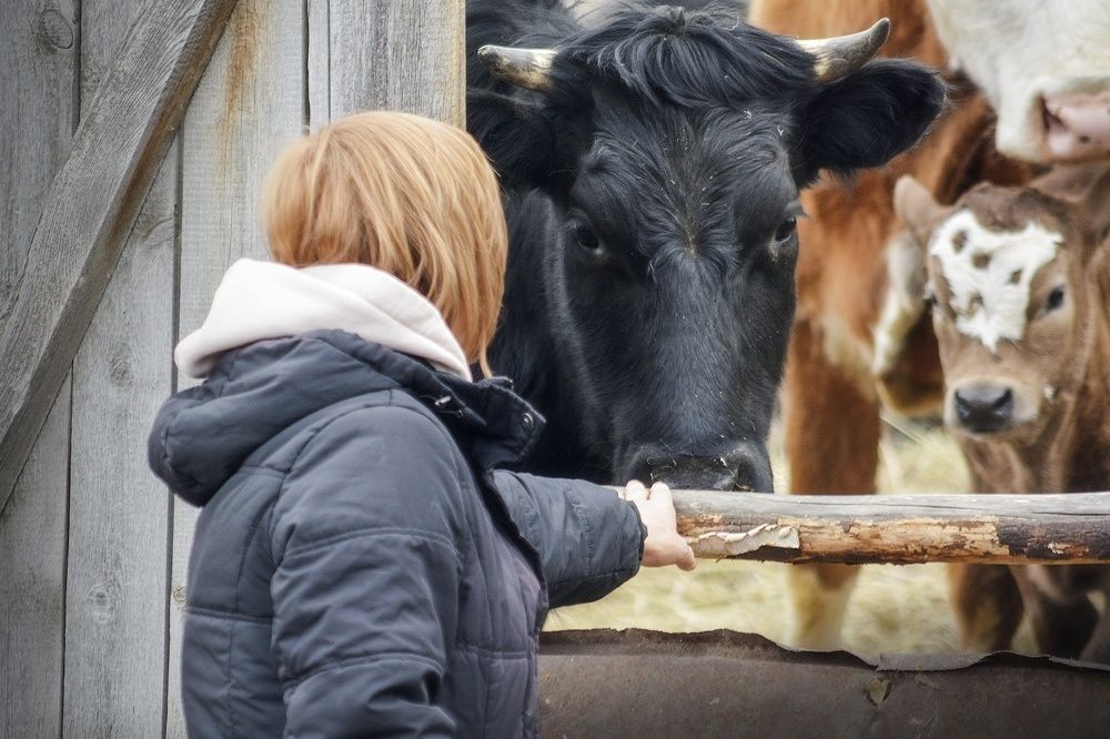 Photograph by Эдуард Голиков